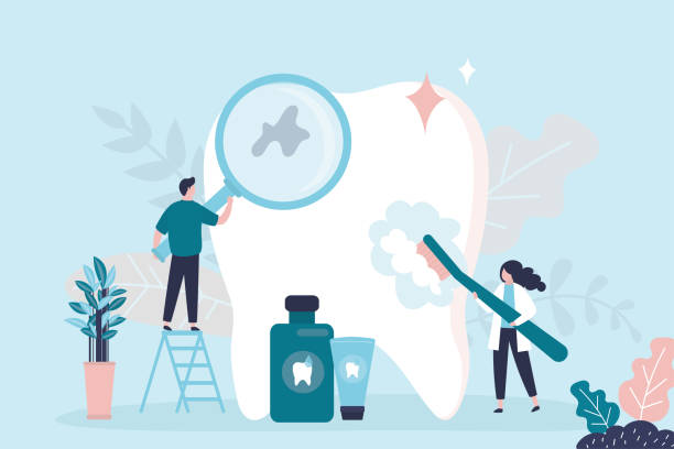 Trusted Orleans, VT  Holistic Dental Services Experts